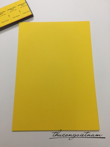 TV229_240gsm Vàng đậm trơn 5k