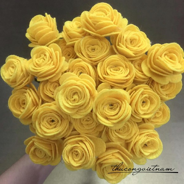 Hoa hồng nỉ màu vàng