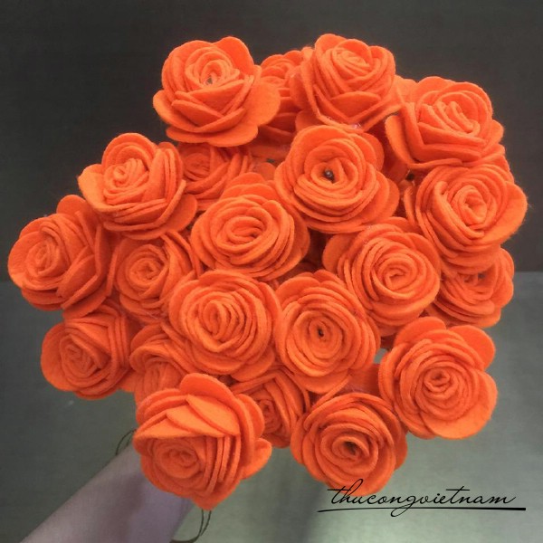 Hoa hồng nỉ màu cam