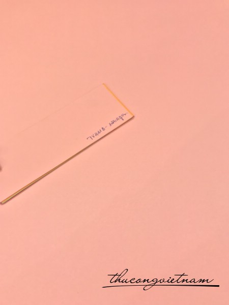 TV411B_124,4gsm Hồng dâu