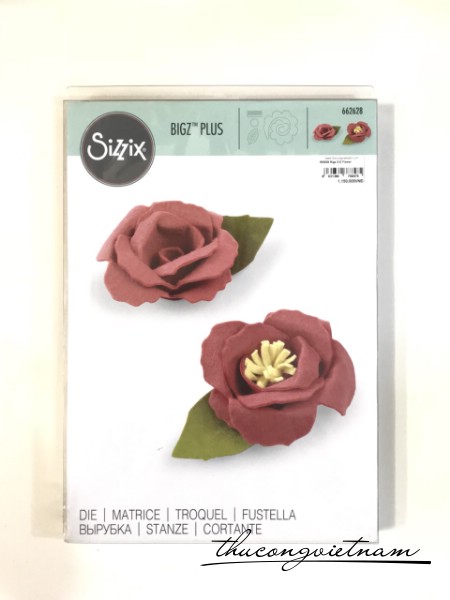 662628-Khuôn cắt Sizzix Bigz Die Pluz 3-D Flower