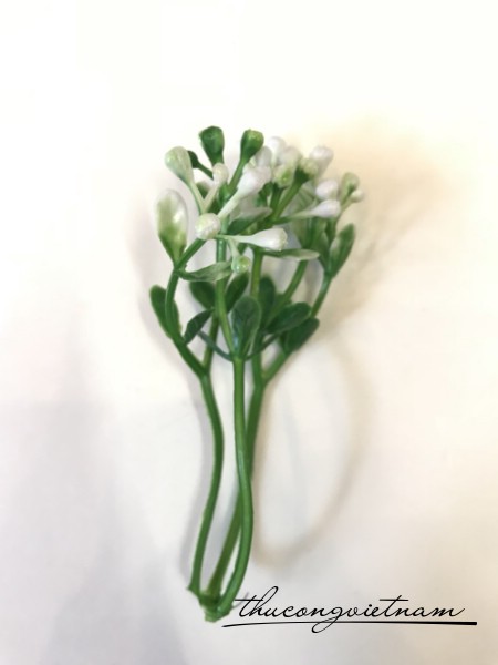 Cỏ nhựa búp trắng